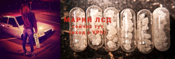 СК Дмитров