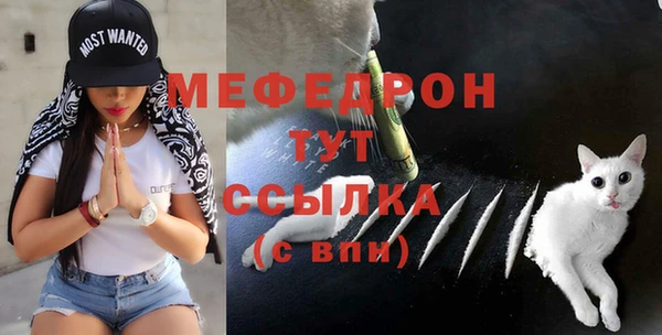 СК Дмитров