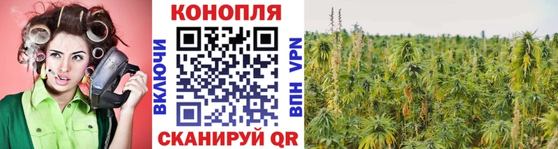 Конопля White Widow  Зерноград 